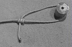 Finished Tautline Hitch